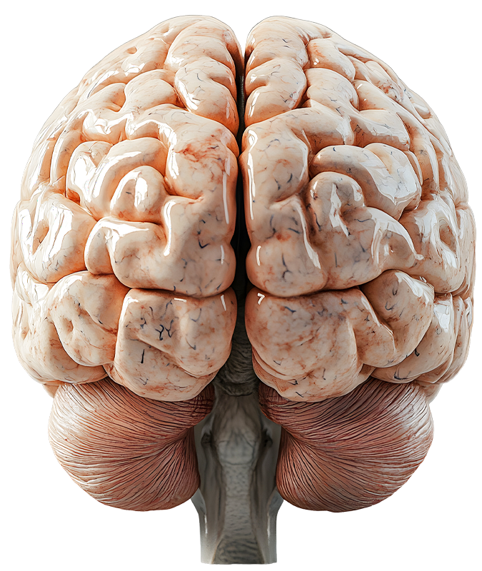 Epilepsy treatment in Ahmedabad